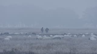 Herder in de mist en bevroren landschap