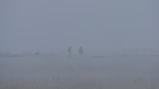 Herder in de mist en bevroren landschap