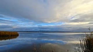 Buienwolken weerspiegeld bij het riet/water in Belt-Schutsloot