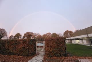 Regenboog