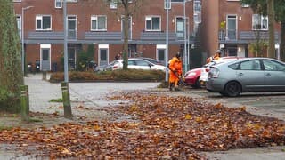 HERFSTBLADEREN OPRUIMEN