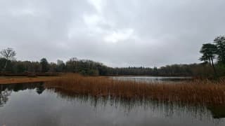 Bewolkt en druilerig in de Zwarte Dennen, Punthorst