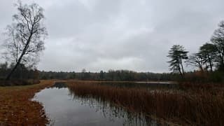 Bewolkt en druilerig in de Zwarte Dennen, Punthorst, tijdstip, foto 12.57 uur