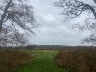 Doorkijkje naar grijze wolken