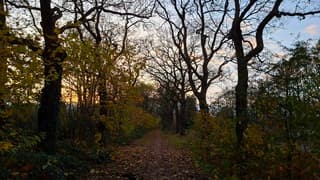Aan het einde van de middag (16 uur) nog lichte opklaringen in Steenwijk