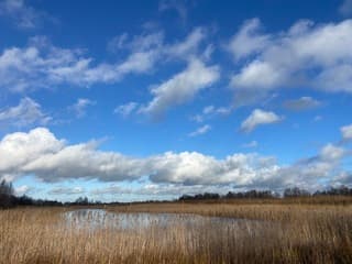 Wat een zon en wolken