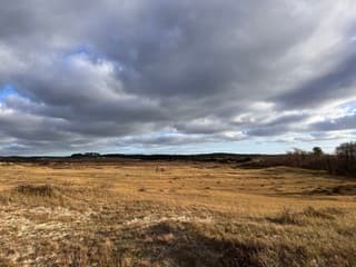 Fietsen tegen de wind in  12:26 uur