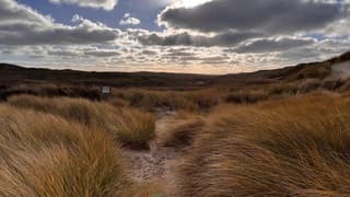 12:15 zonnestralen in de Schoorlse duinen 