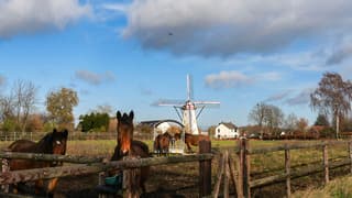 Eerst was het bewolkt maar de zon kreeg steeds meer ruimte
