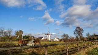 Eerst was het bewolkt maar de zon kreeg steeds meer ruimte