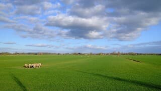 Prachtige wolkenluchten, zon, en een mooi landschap in Midden-Nederland 