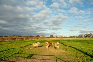 Grens van zon en wolken