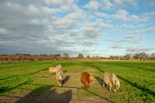 Grens van zon en wolken