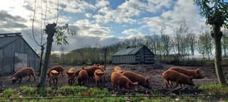 Af en toe een zonnetje.