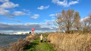 Frisse zondagochtendwandeling over natuureiland De Zaag 