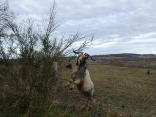 bewolking/ zon/ koud