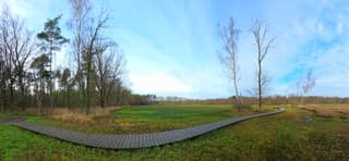 Begin van de dag nog best goed wandelweer