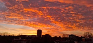 Morgenrood water in de sloot