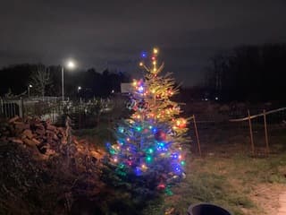 Kerstbomen bij de voordeur bij pap en mam de kerst kan bijna beginnen bij ons thuis