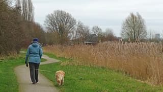Koude wandeling.