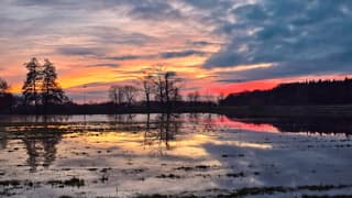 Avond valt over Renkum