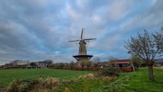 Molen in morgenlucht 
