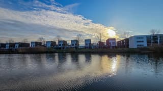 Wel wat wind maar ook volop zon bij de rietkraag