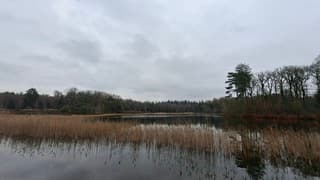 Bewolkt, grijs maar droog in natuurgebied de Zwarte Dennen in Staphorst