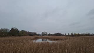 Sober en grijs in Zwolle, tijdstip foto 15 uur