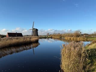 Viaansemolen