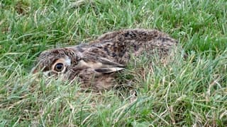 Wie niet weg is, is gezien..