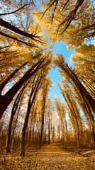 Mooie Biesbosch wandeling 