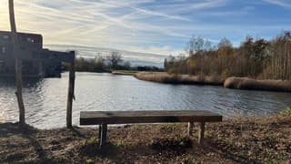 Veel vliegtuig strepen.