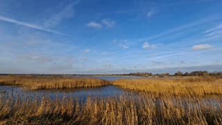 Wolken en strepen in de lucht bij het riet/water in Wetering bij een koude gevoelstemperatuur door de oostenwind tijdstip foto 14.22 uur.