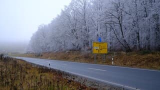 Rijp op de bomen in waterkoud Würzburg 