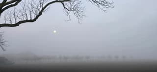 volle maan in ochtendmist