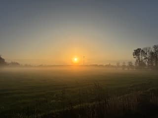 Mist over de Kwistbeek 