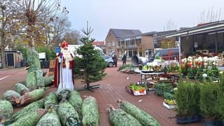 Lichte mist in Noord Holland