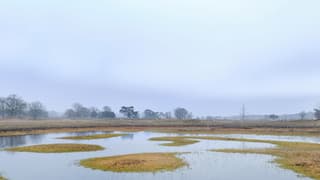 Grijze dag vandaag in het midden van het land.