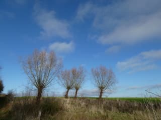 zonnig/ blauwe hemel/ wolken