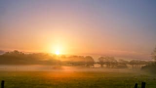 Een schitterende zonsopkomst vanmorgen met dichte mist