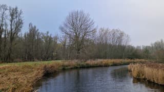 Grijze middag in het Twiske 