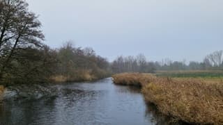 Sinterklaasweer in het Twiske 