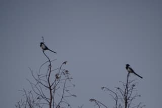 Gezellig buurten boven Tatelaarweg Didam