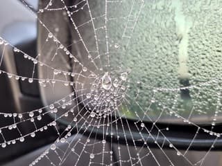 Mistig en dus mooie dauwdruppels op spinnenwebben 