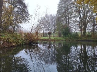 Grijs mistig en mooi 