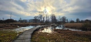 Prachtige lucht vandaag