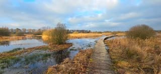 Nog een mooie wandeldag vandaag