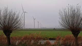Licht mistig en weinig wind 