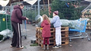 Druk in de weer met de kerstboom 